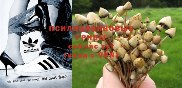 герыч Абинск