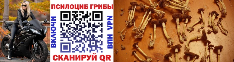 Псилоцибиновые грибы ЛСД  Рязань 