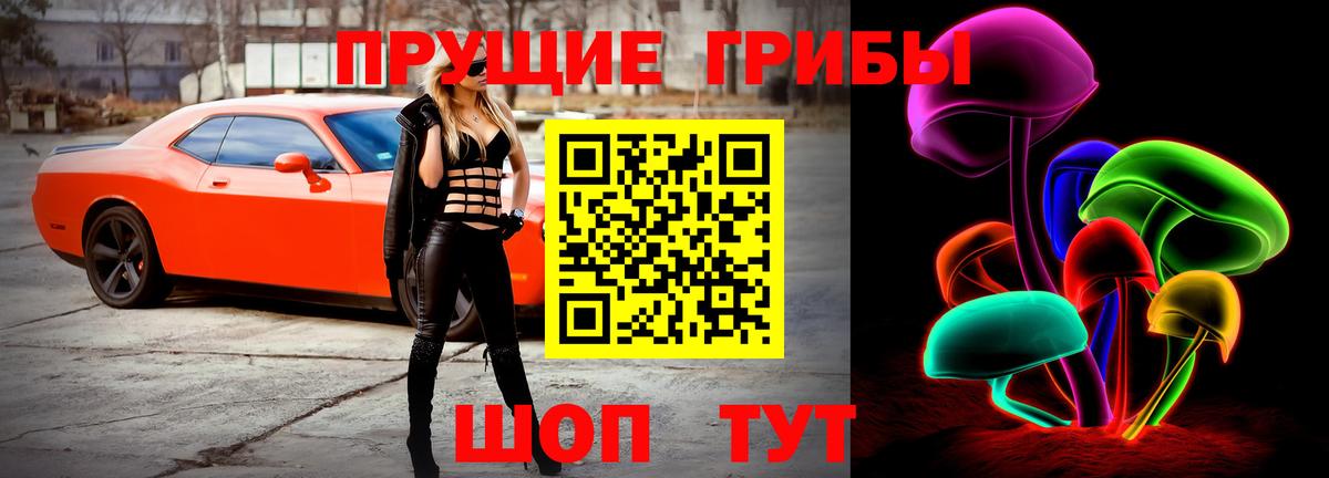 Рязань  Галлюциногенные грибы Psilocybine cubensis  Вход с VPN 